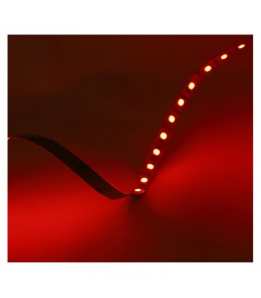 Miidex - 100429 - 3701124432582