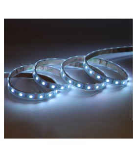 Miidex - 100432 - 3701124432612