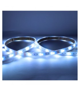 Miidex - 100433 - 3701124432629