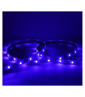 Miidex - 100433 - 3701124432629