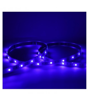 Miidex - 100433 - 3701124432629