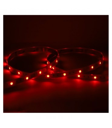 Miidex - 100433 - 3701124432629