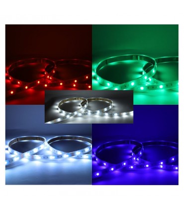 Miidex - 100433 - 3701124432629