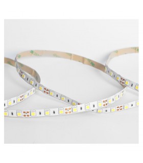 Miidex - 100437 - 3701124432674