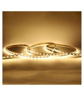 Miidex - 100442 - 3701124432728