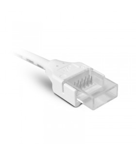 Miidex - 100462 - 3701124429674