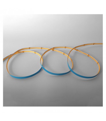 Miidex - 100518 - 3701124433350