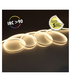 Miidex - 100519 - 3701124433367