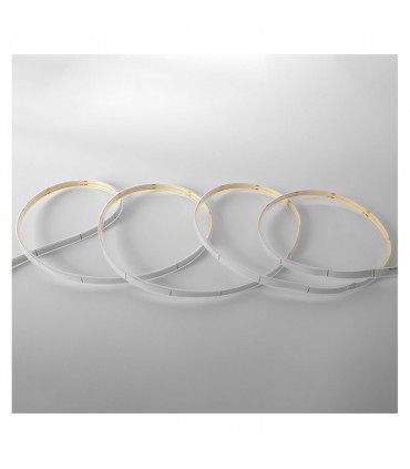 Miidex - 100520 - 3701124433374