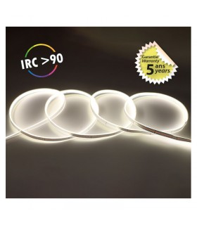 Miidex - 100520 - 3701124433374