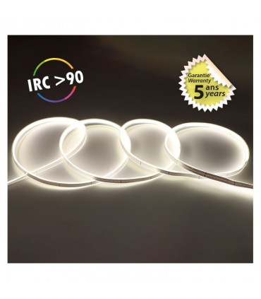 Miidex - 100520 - 3701124433374