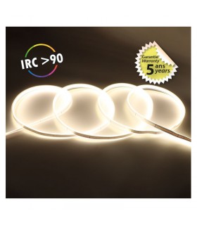 Miidex - 100521 - 3701124433381