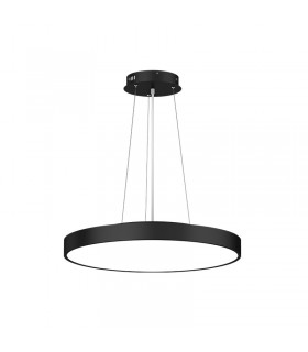 Miidex - 400026 - 3701124428660