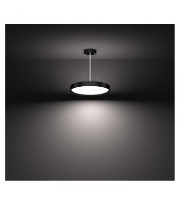 Miidex - 400026 - 3701124428660