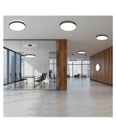 Miidex - 400026 - 3701124428660