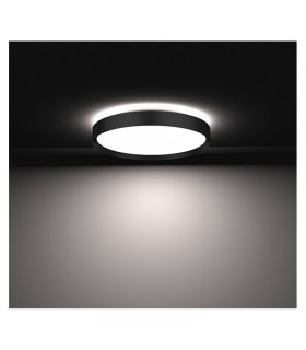 Miidex - 400028 - 3701124428684