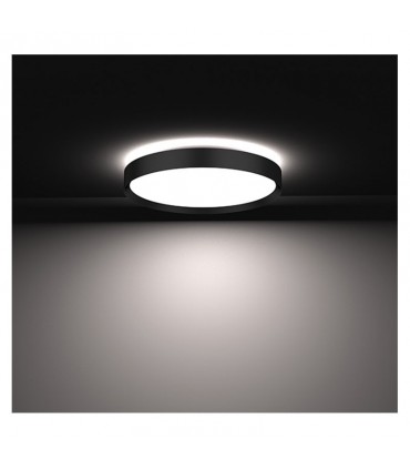 Miidex - 400028 - 3701124428684