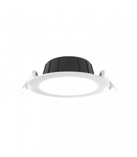 Miidex - 100648 - 3701124434609