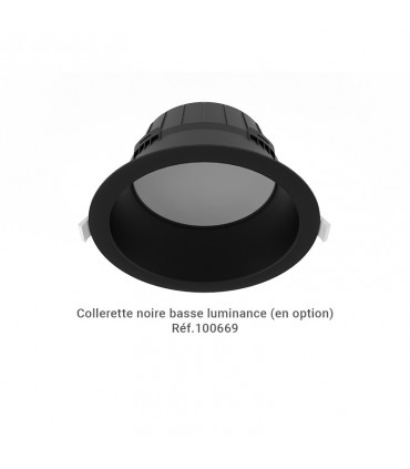 Miidex - 100649 - 3701124434616