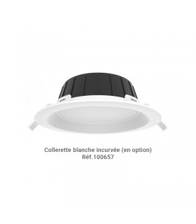 Miidex - 100649 - 3701124434616