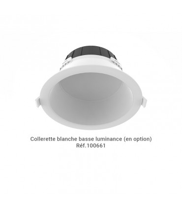 Miidex - 100649 - 3701124434616