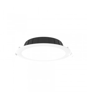 Miidex - 100651 - 3701124434630