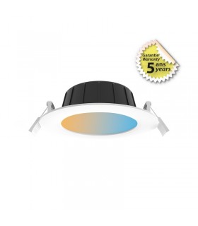 Miidex - 100652 - 3701124434647