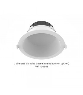 Miidex - 100653 - 3701124434654