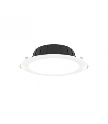 Miidex - 100653 - 3701124434654