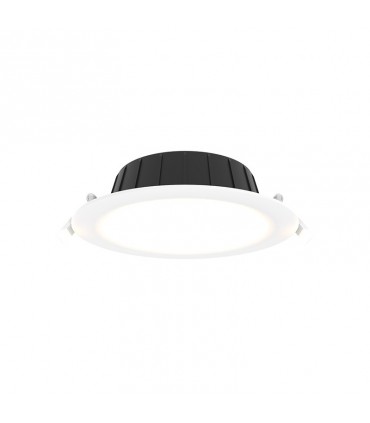 Miidex - 100653 - 3701124434654