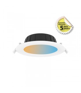 Miidex - 100653 - 3701124434654