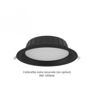 Miidex - 100654 - 3701124434661