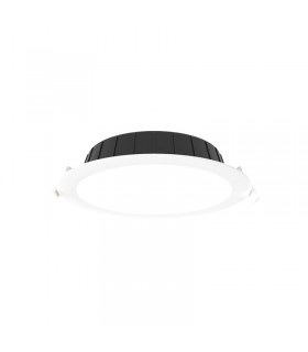 Miidex - 100654 - 3701124434661