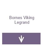 Bornes - viking Legrand
