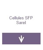 Cellule SFP - Sarel