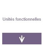 Unités fonctionnelles