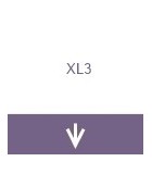 Xl3