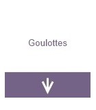 Goulottes