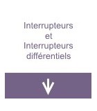 Interrupteurs et interrupteur différentiel