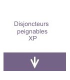 Disjoncteurs peignables XP