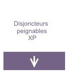 Disjoncteurs peignables XP