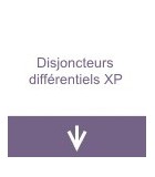 Disjoncteurs différentiels XP