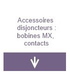 Accessoires disjoncteurs : bobine MX, contacts