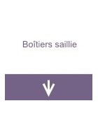 Boitiers saillie