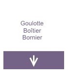 Goulotte Boitier Bornier