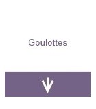 Goulotte