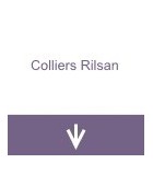Colliers Rilsan