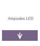 Ampoules LED