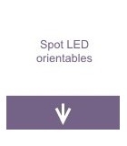 Spots LED orientables