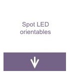 Spots LED orientables